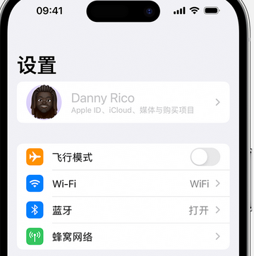 伊宁市appleID维修服务iPhone设置中Apple ID显示为灰色无法使用