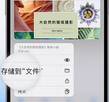 伊宁市apple维修中心分享iPhone文件应用中存储和找到下载文件