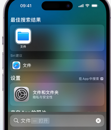 伊宁市apple维修中心分享iPhone文件应用中存储和找到下载文件 