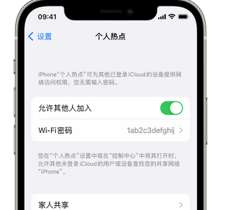 伊宁市apple服务站点分享iPhone上个人热点丢失了怎么办 