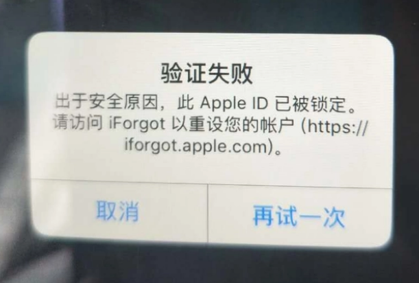 伊宁市iPhone维修分享iPhone上正常登录或使用AppleID怎么办 