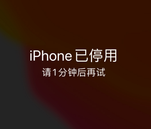 伊宁市苹果手机维修分享:iPhone 显示“不可用”或“已停用”怎么办？还能保留数据吗？ 