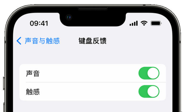 伊宁市苹果手机维修分享iPhone 14触感键盘使用方法 