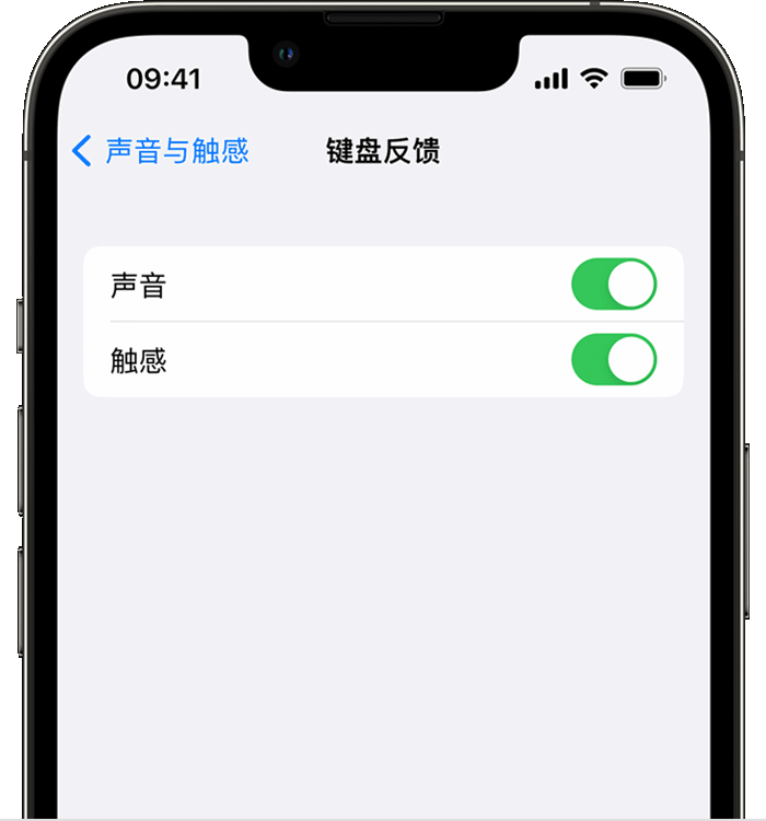 伊宁市苹果14维修店分享如何在 iPhone 14 机型中使用触感键盘 