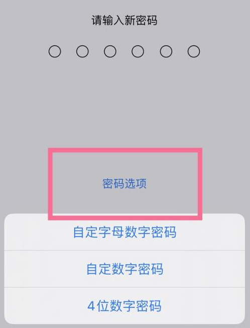 伊宁市苹果14维修分享iPhone 14plus设置密码的方法 