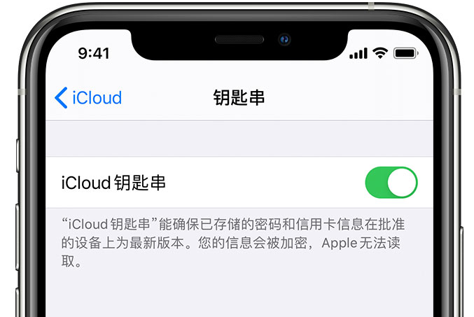 伊宁市苹果手机维修分享在 iPhone 上开启 iCloud 钥匙串之后会储存哪些信息 