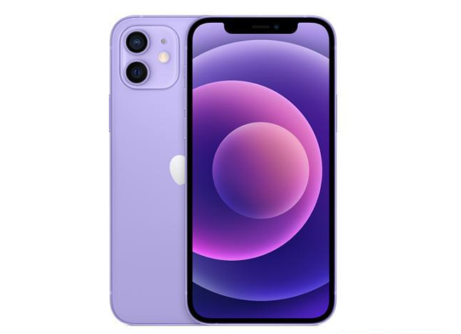 伊宁市苹果手机维修分享现阶段要不要入手紫色版iPhone12 